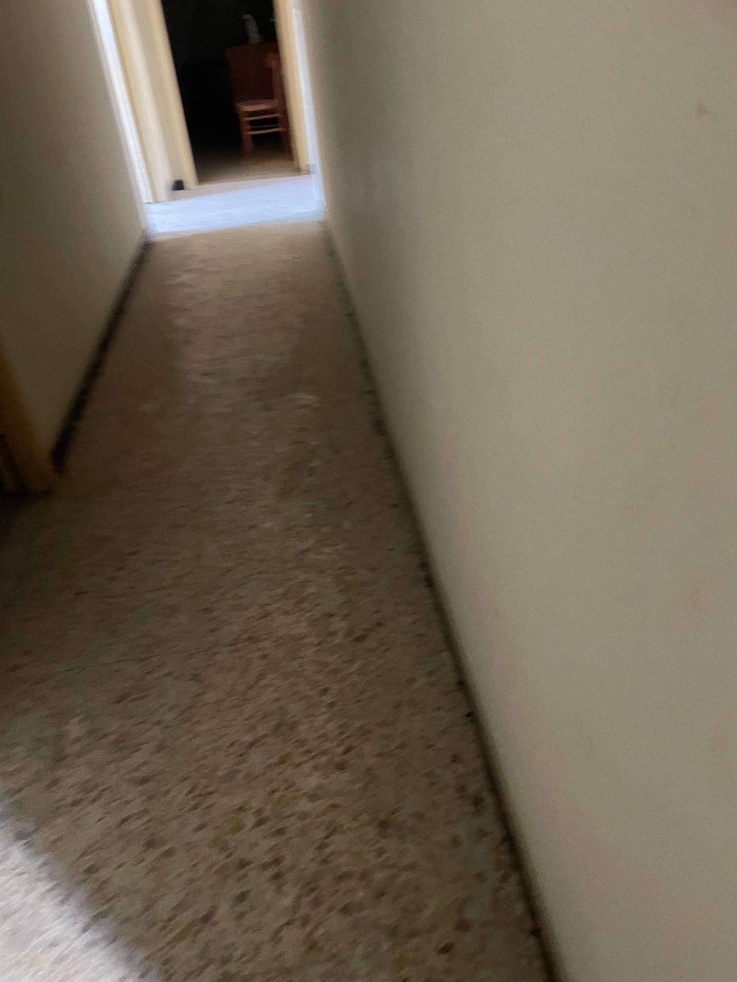  - foto 16