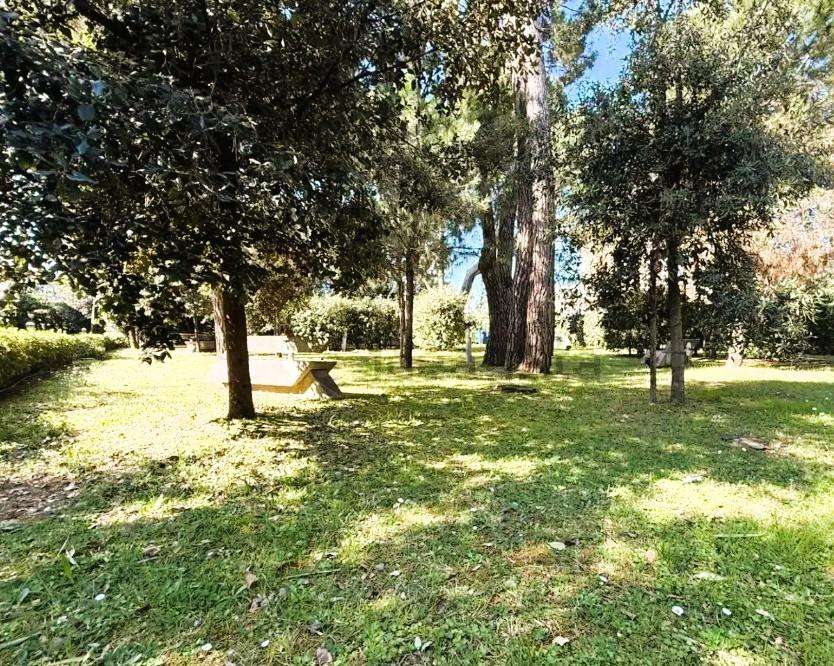  - foto 32
