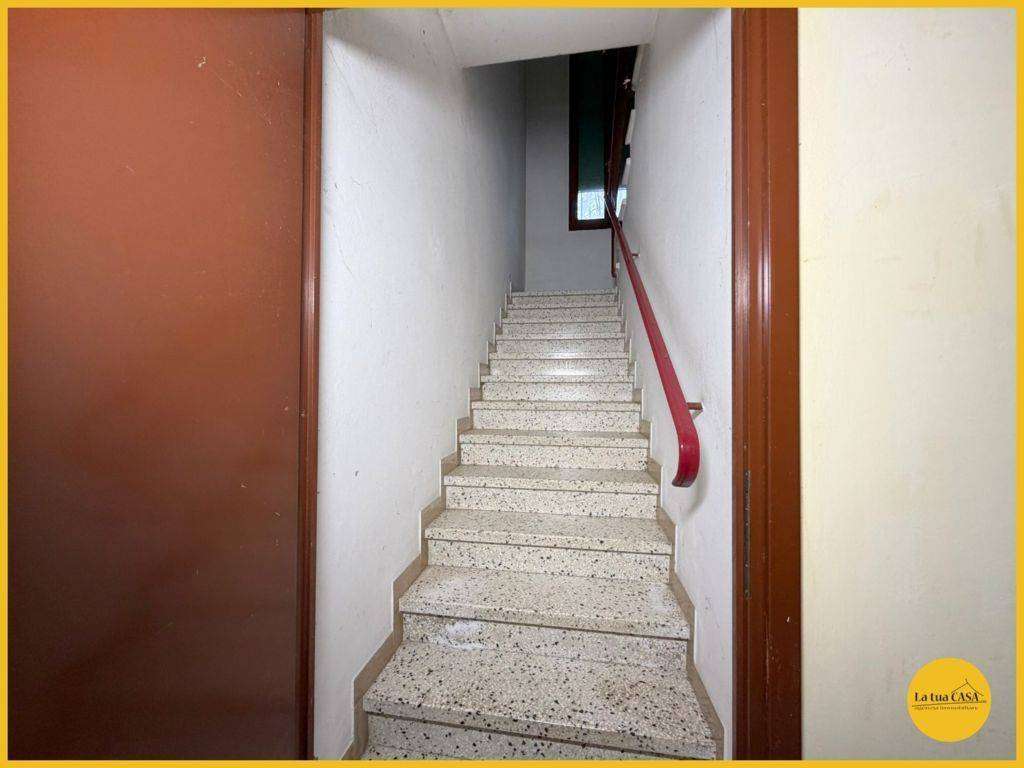  - foto 50