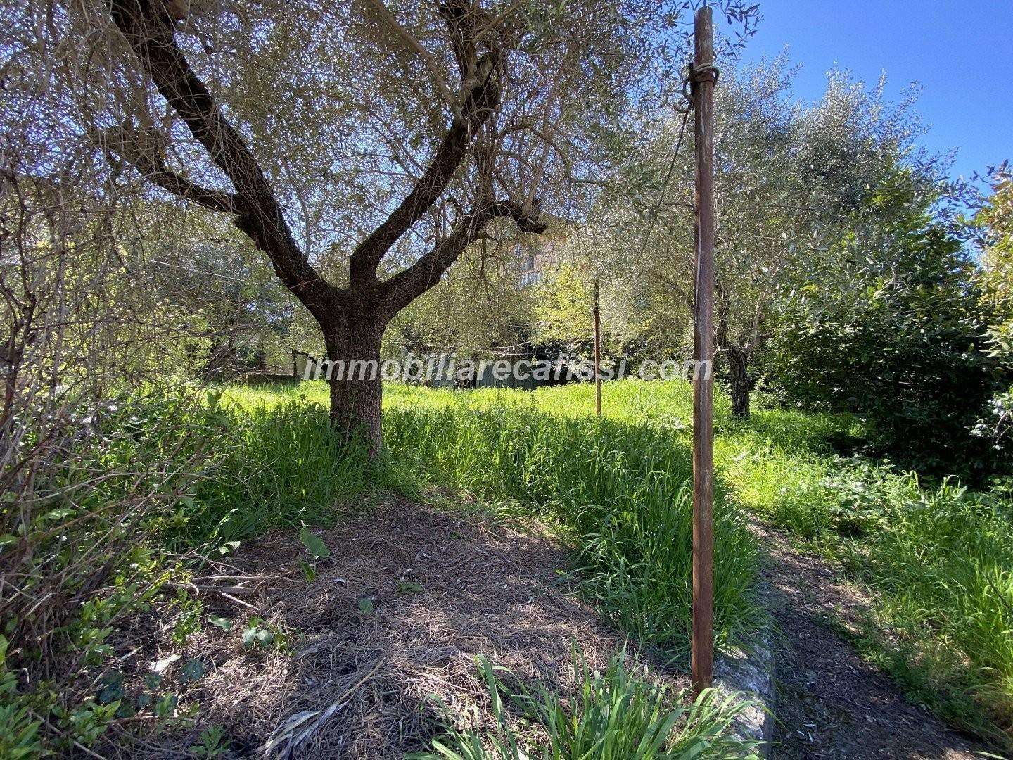  - foto 36