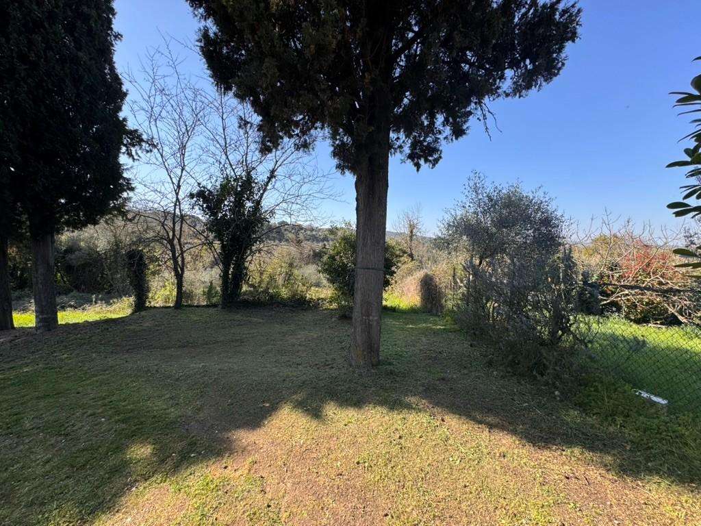  - foto 34