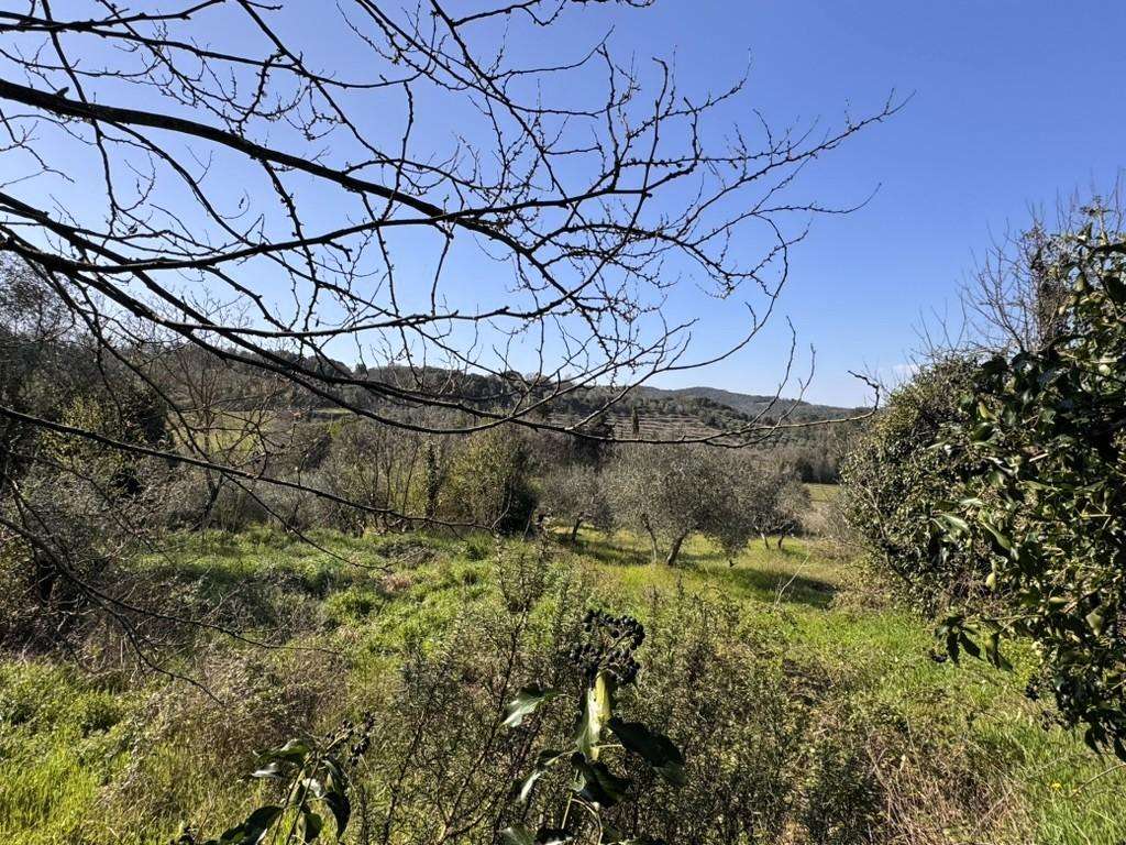  - foto 35