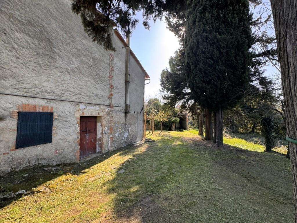  - foto 5
