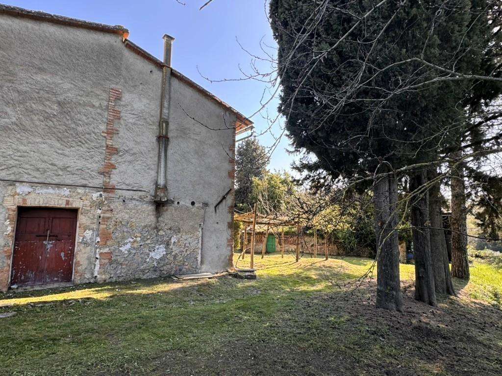  - foto 6