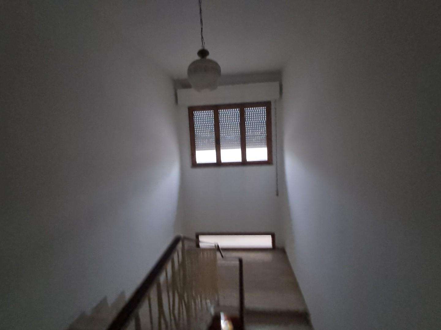  - foto 18