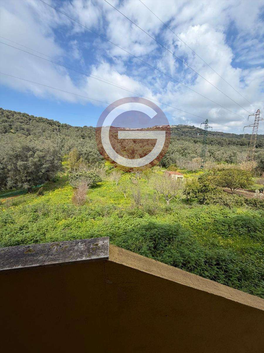  - foto 15