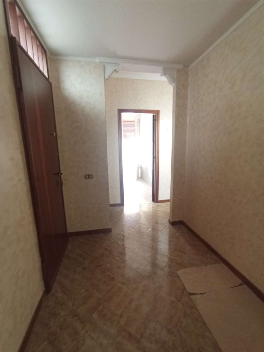  - foto 16