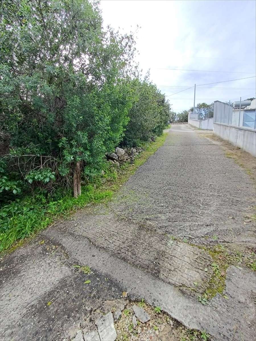  - foto 2