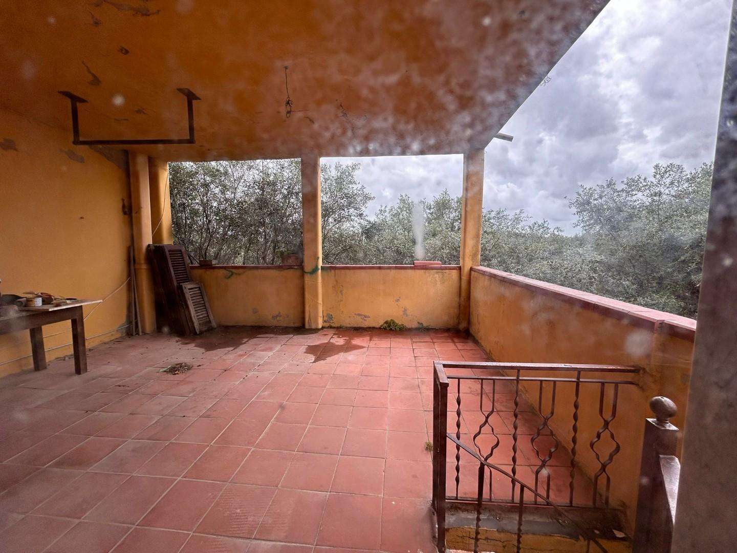 - foto 11