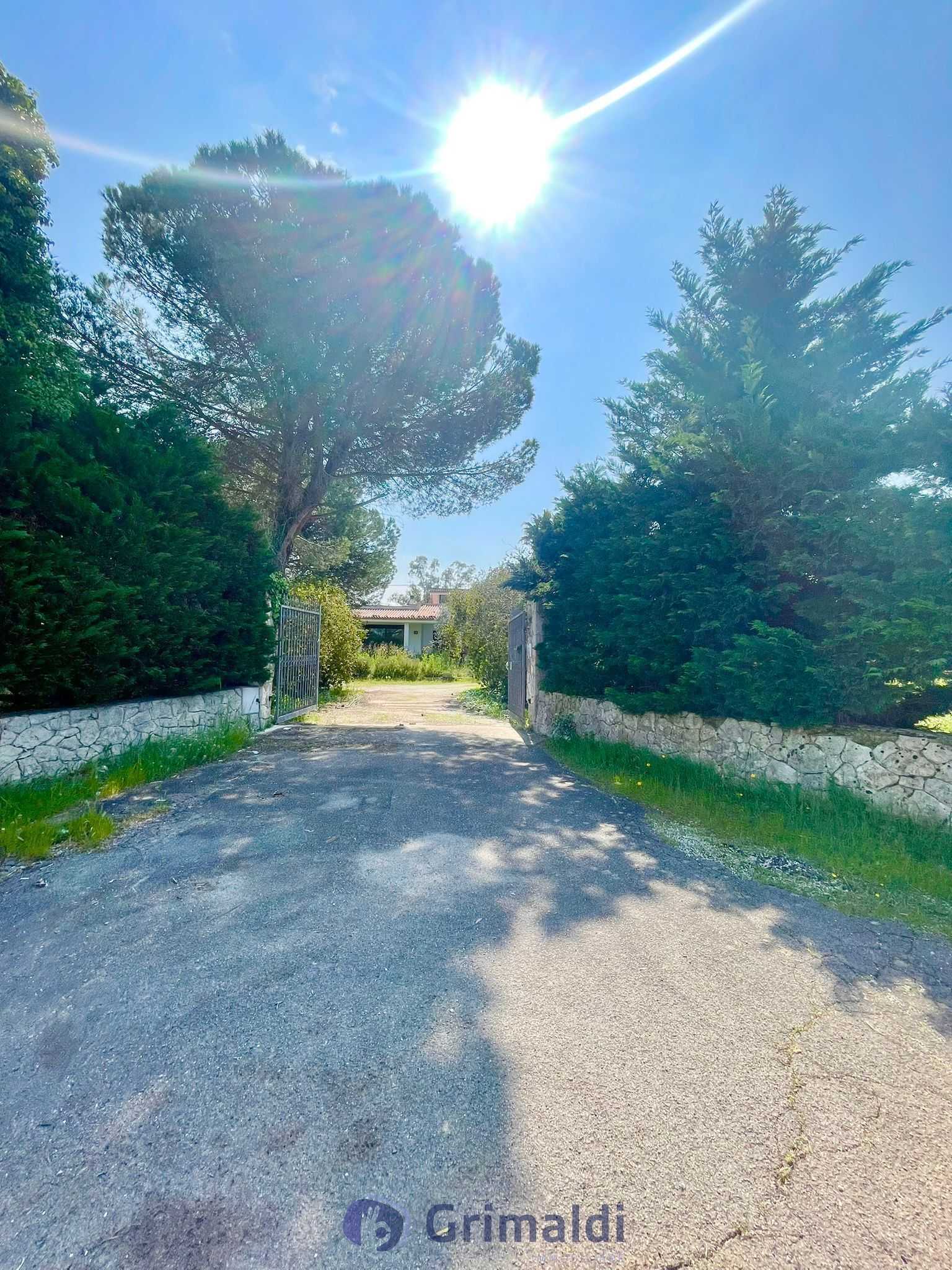 - foto 68