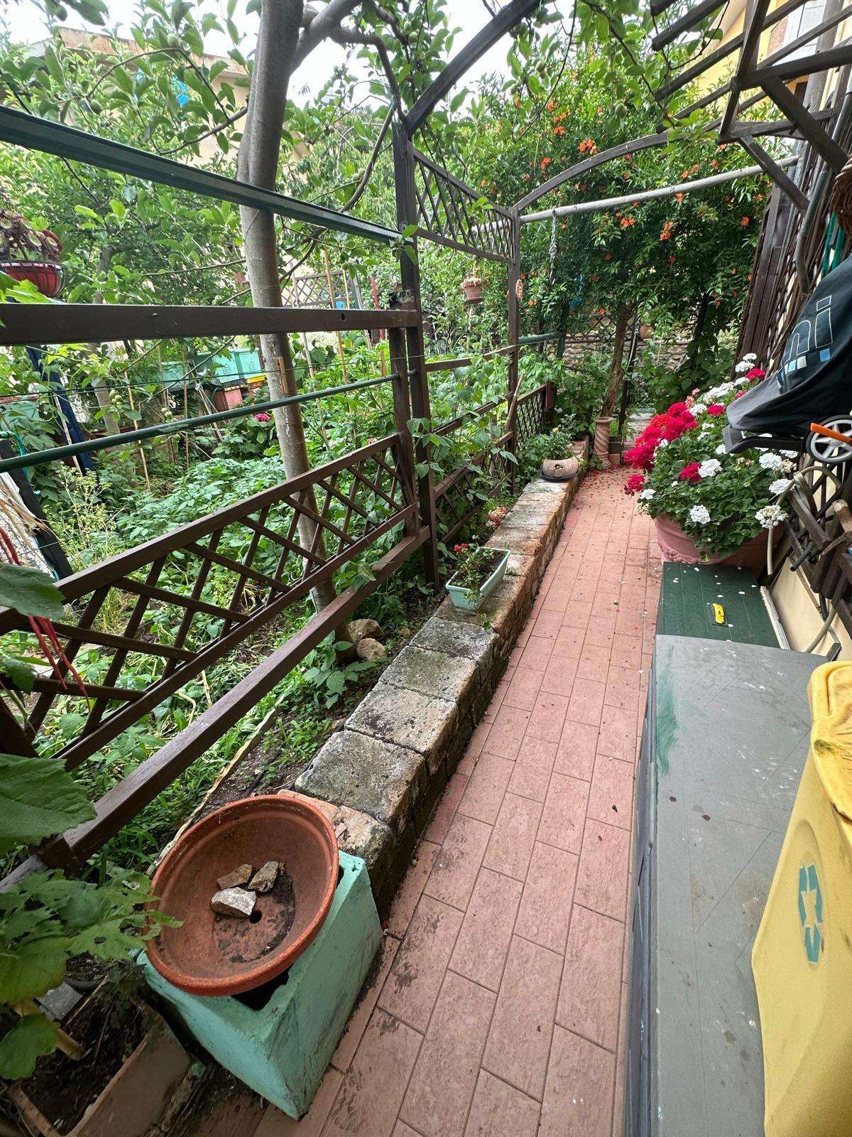  - foto 6