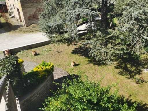  - foto 34