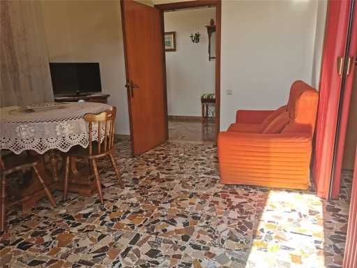  - foto 42