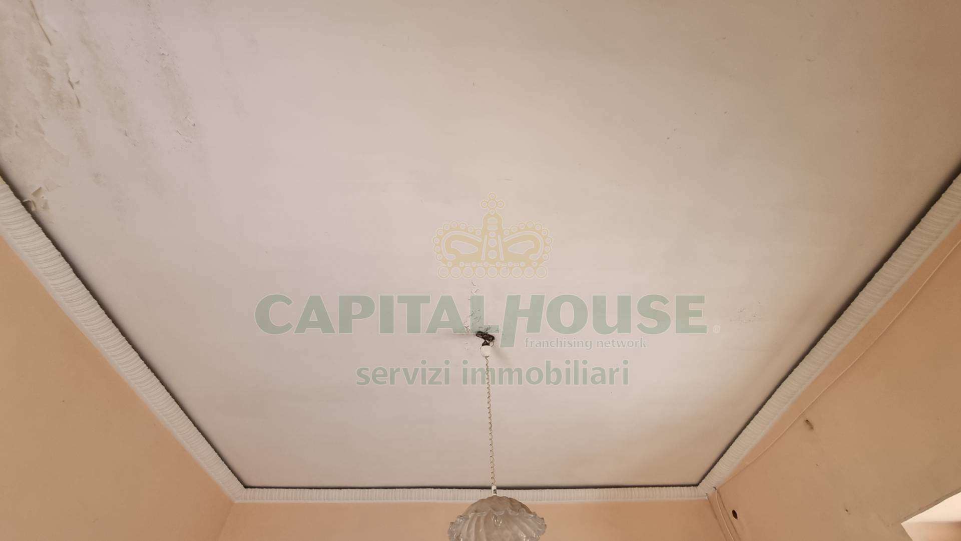  - foto 21