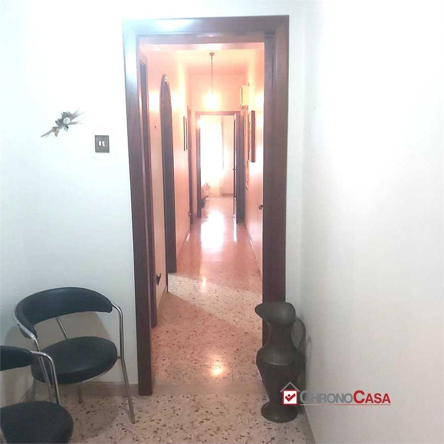  - foto 7