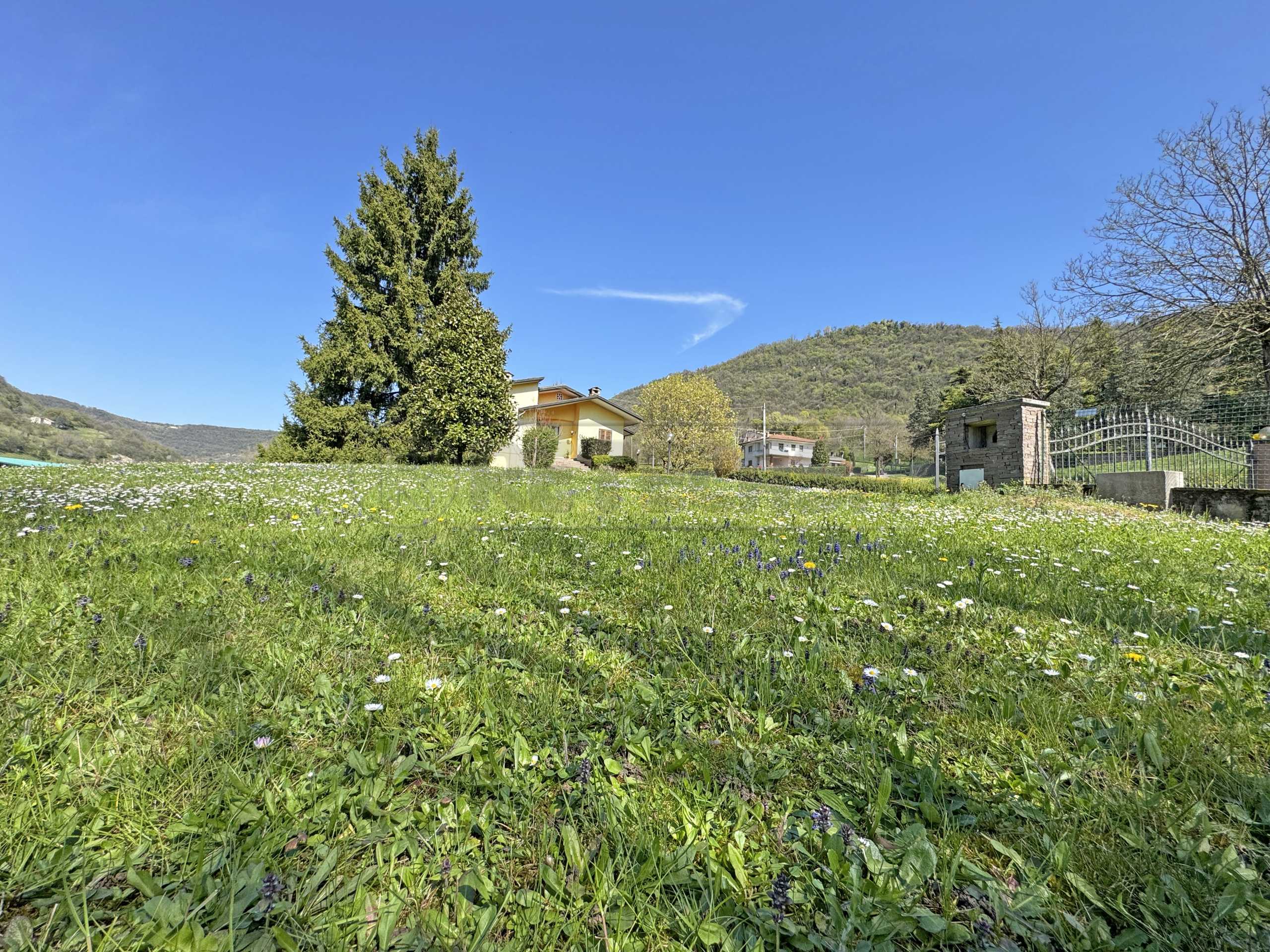  - foto 14