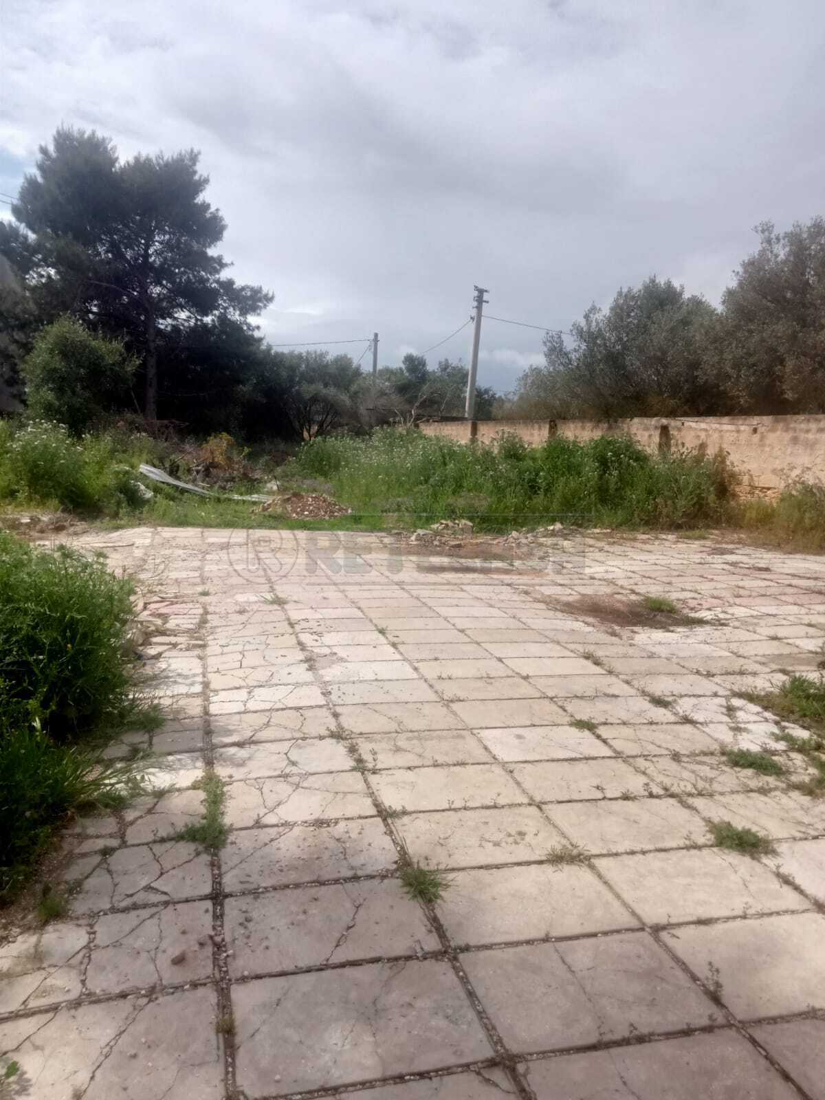  - foto 8