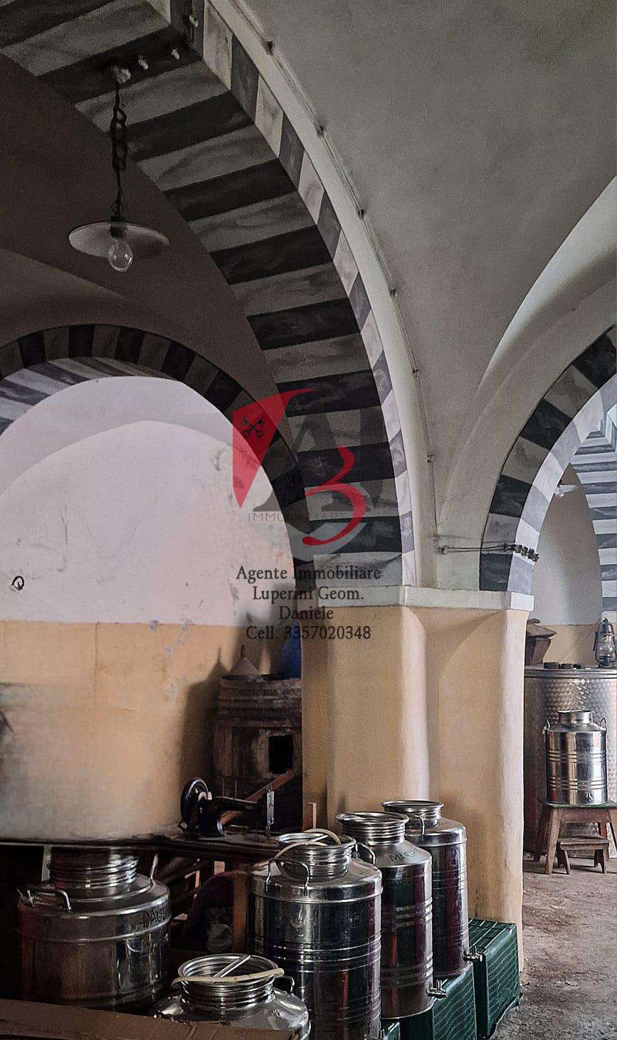  - foto 17