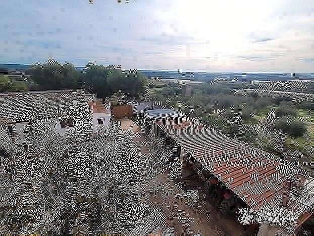  - foto 2