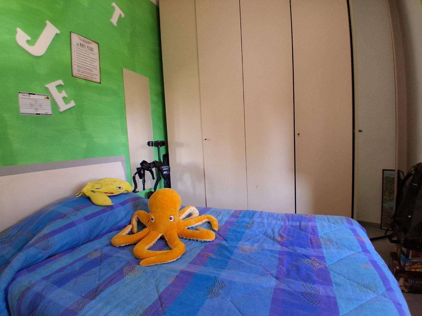  - foto 16
