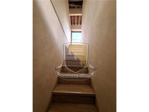  - foto 20
