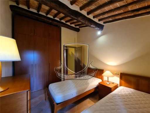  - foto 36