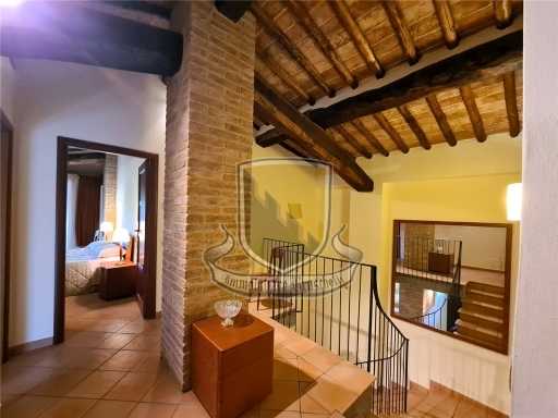  - foto 37