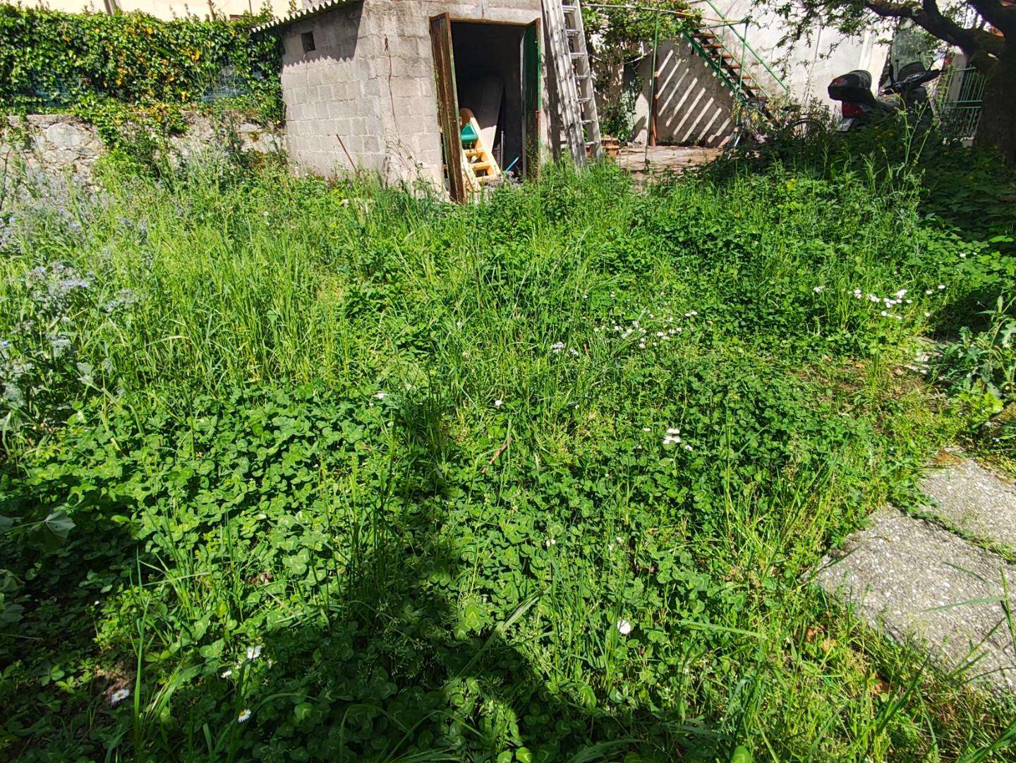  - foto 18