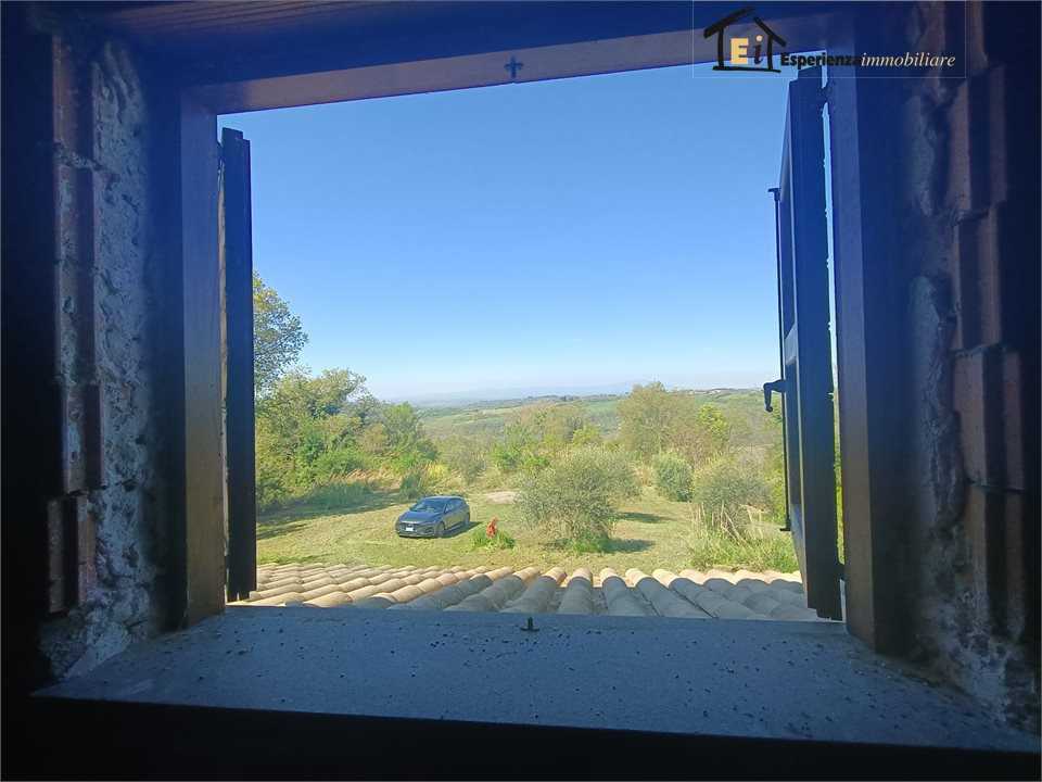  - foto 10
