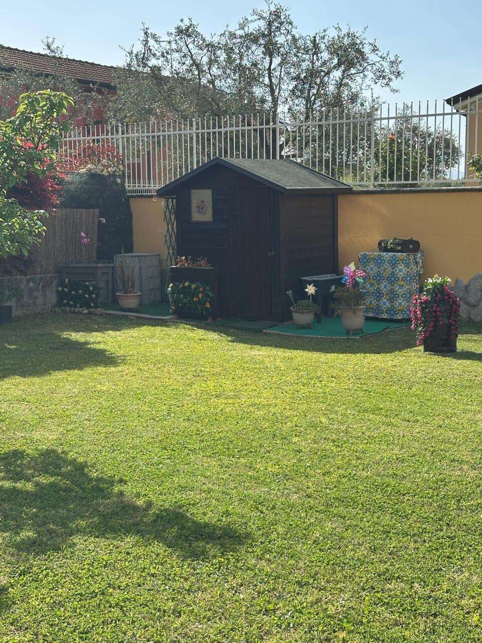  - foto 44