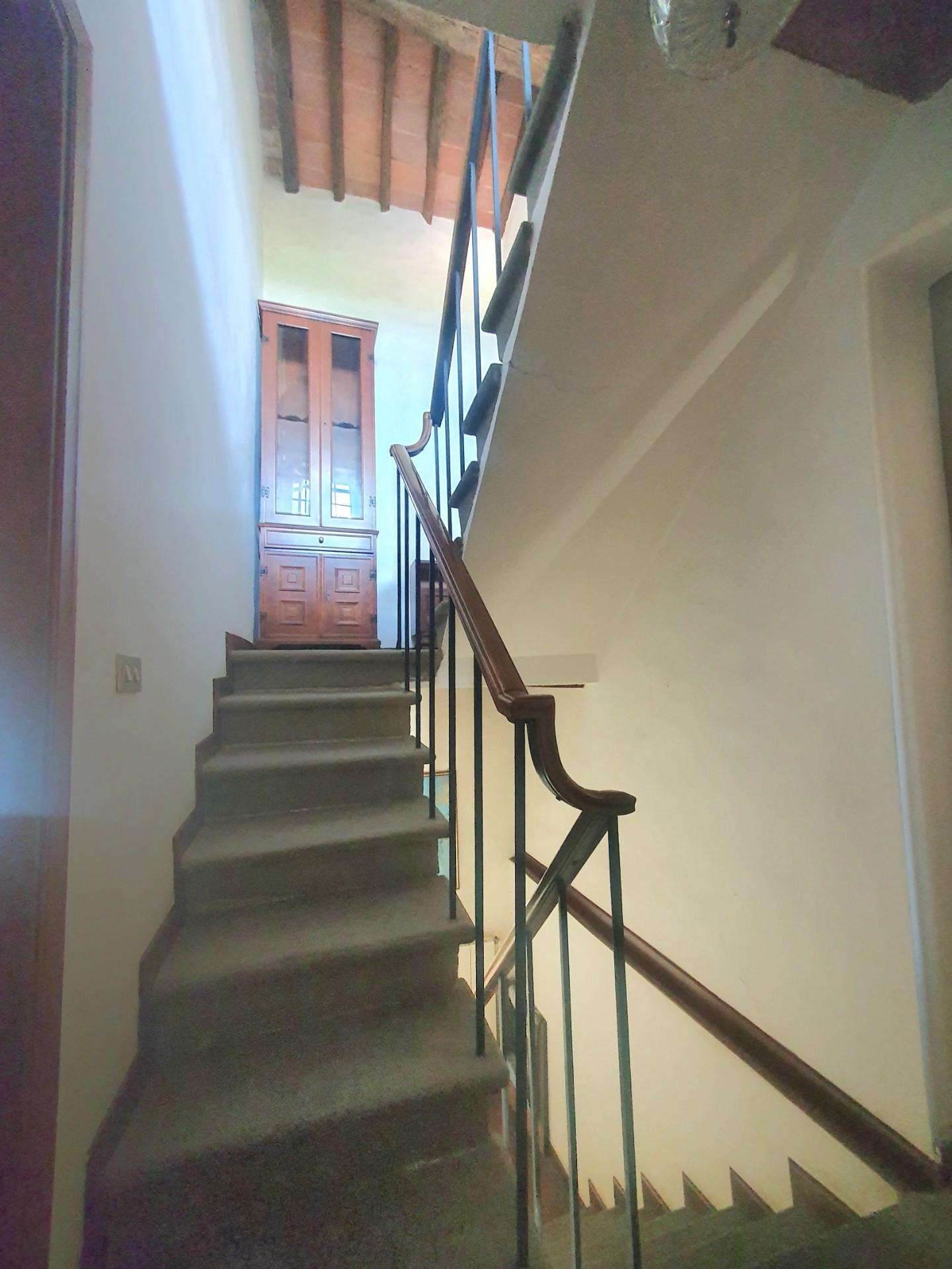  - foto 37