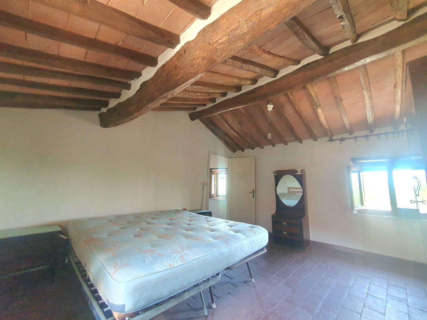  - foto 42