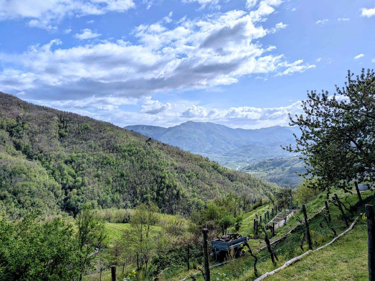  - foto 35