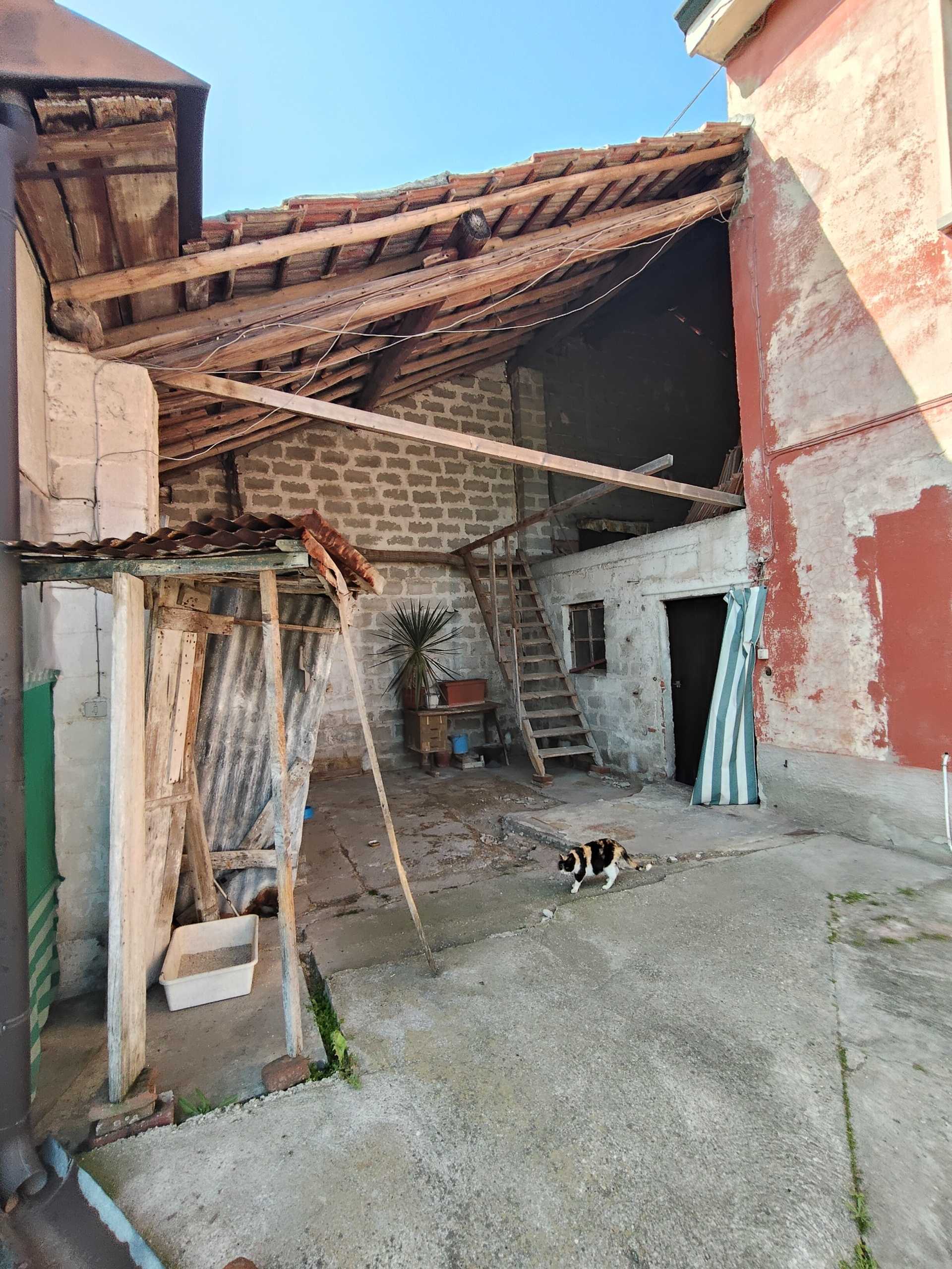  - foto 6