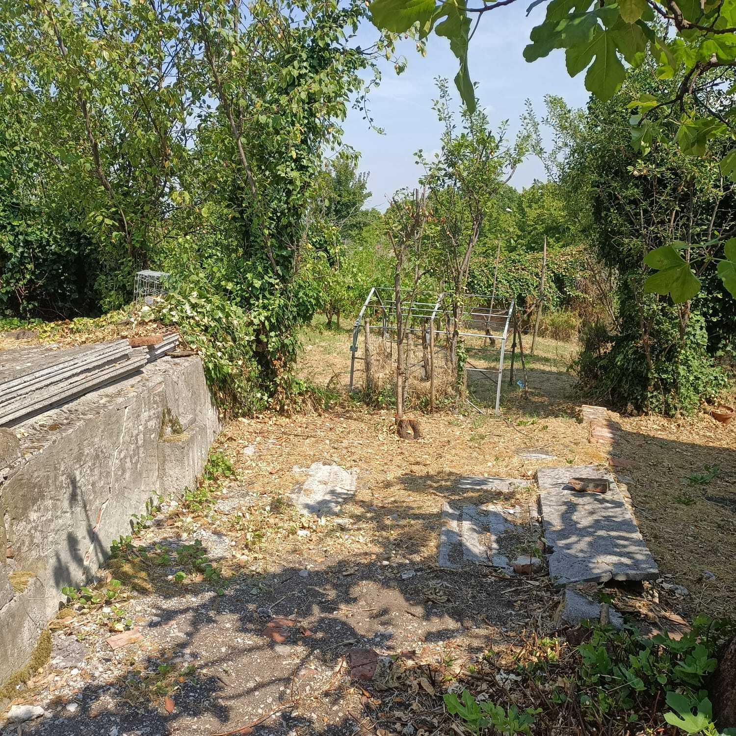  - foto 25