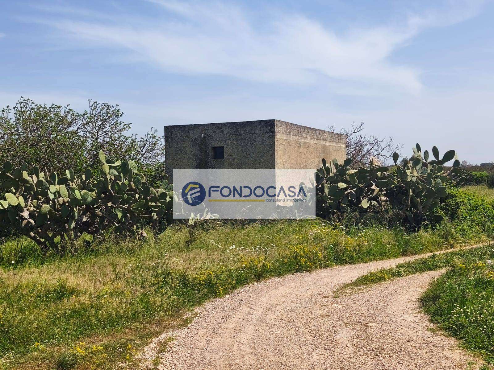  - foto 8