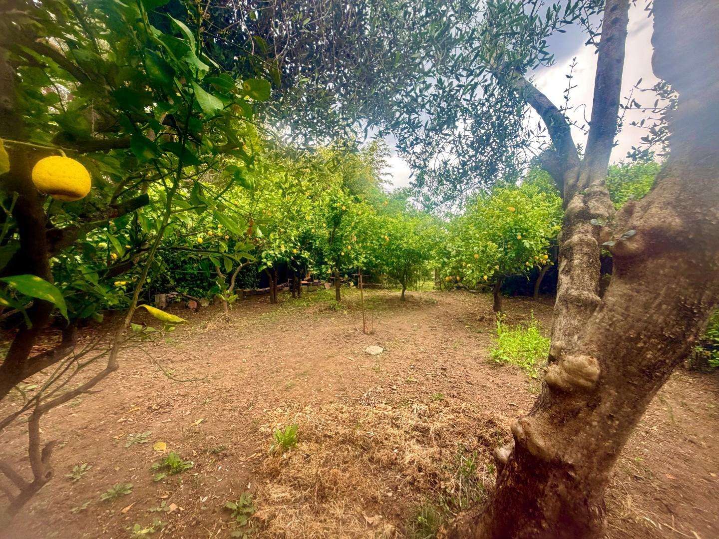  - foto 5