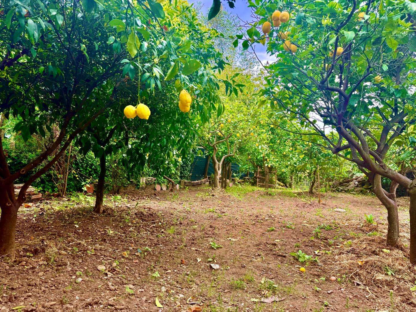  - foto 6