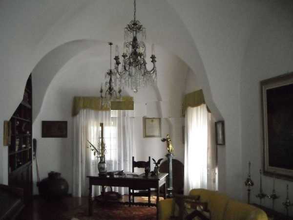  - foto 22