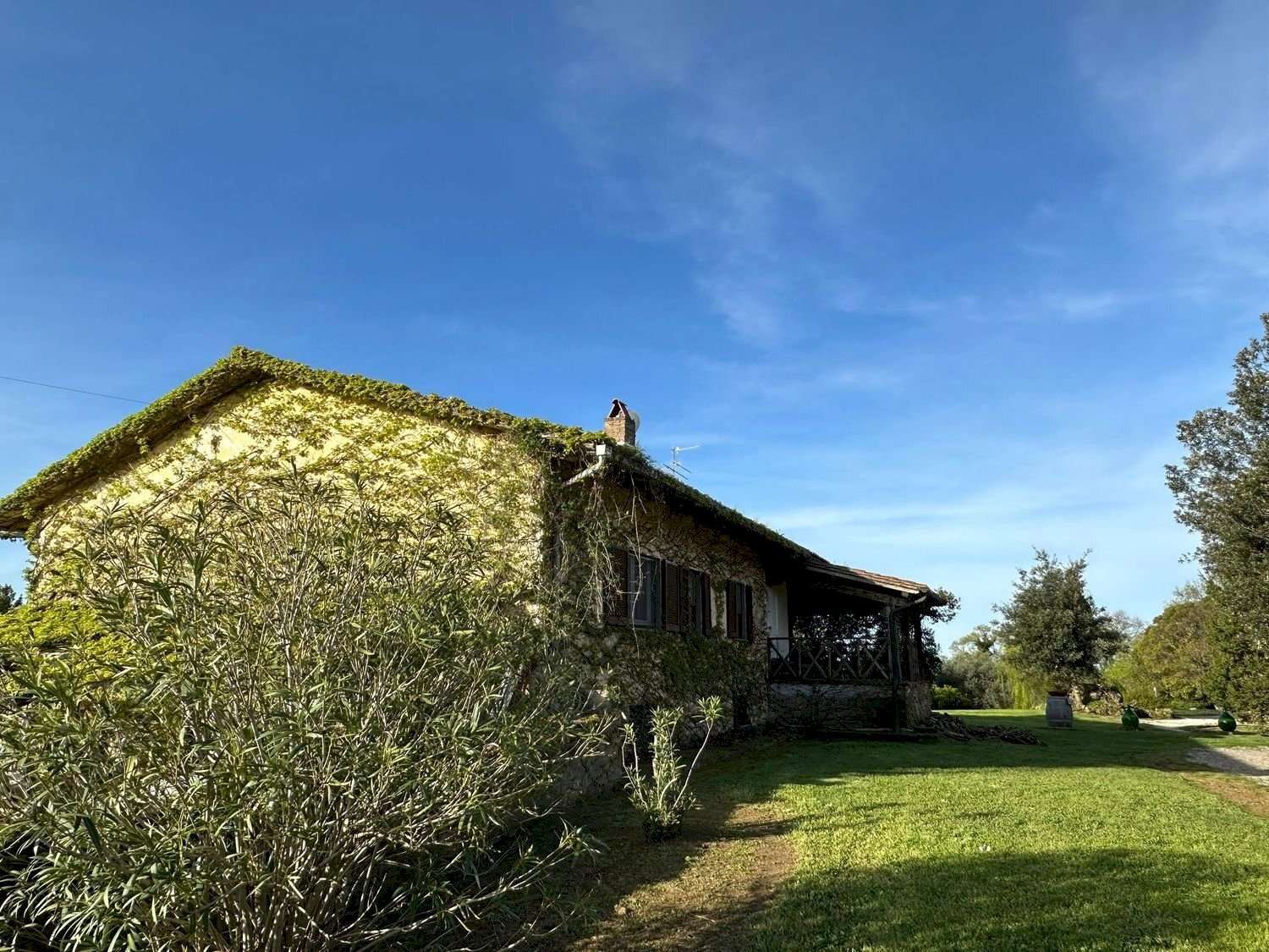  - foto 28