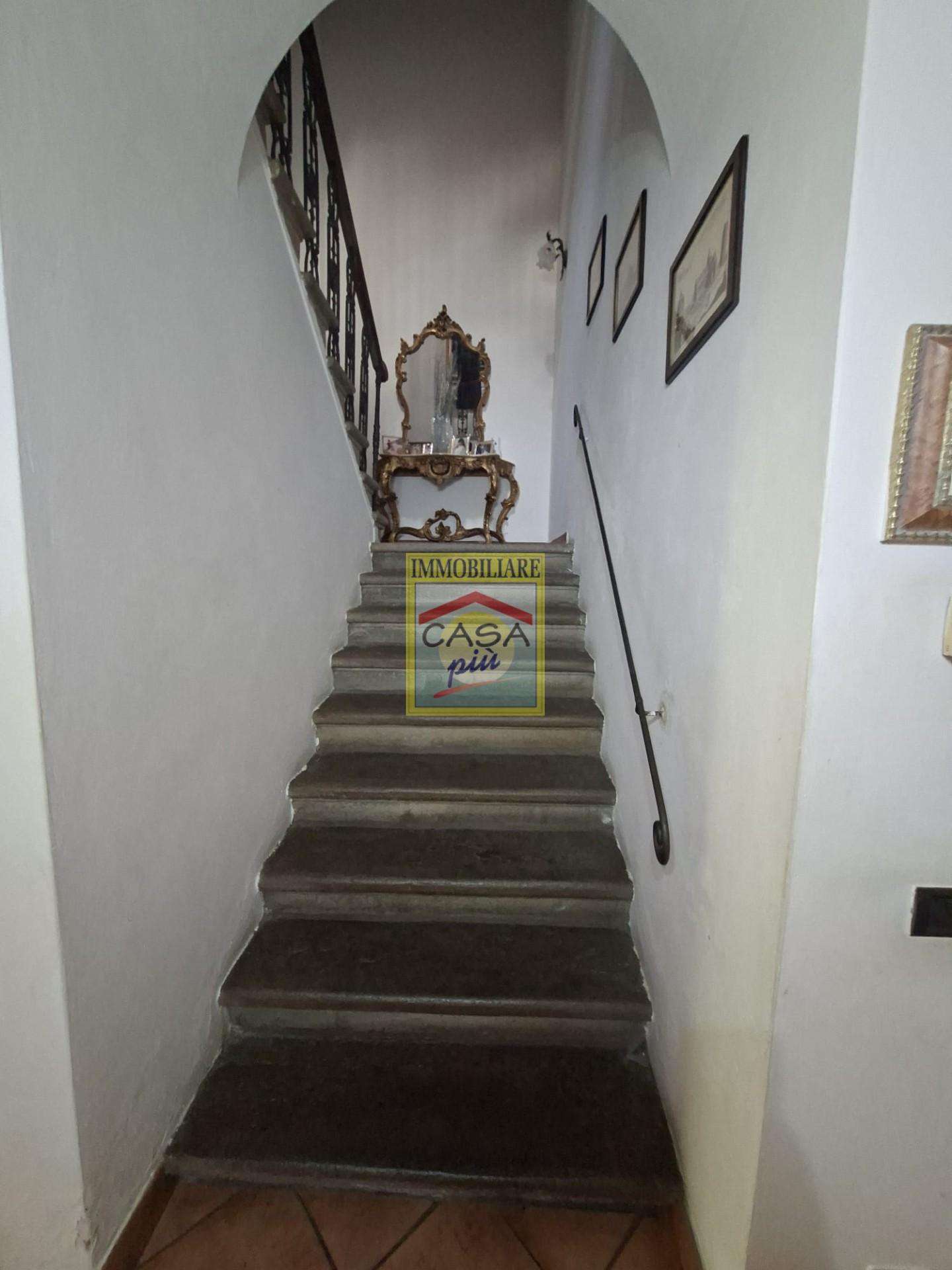  - foto 10