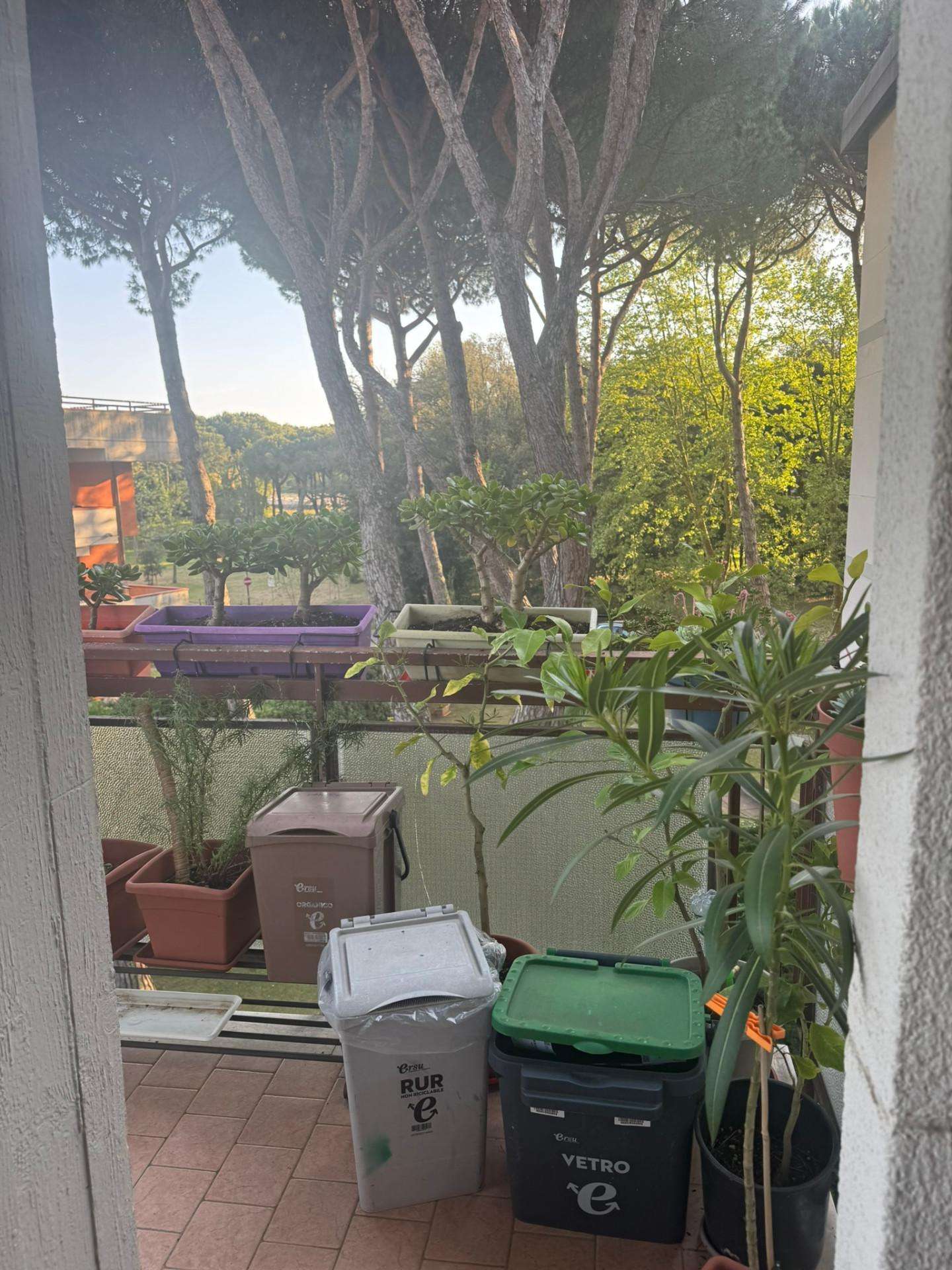  - foto 31