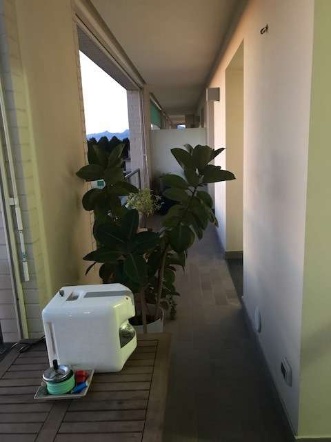  - foto 3
