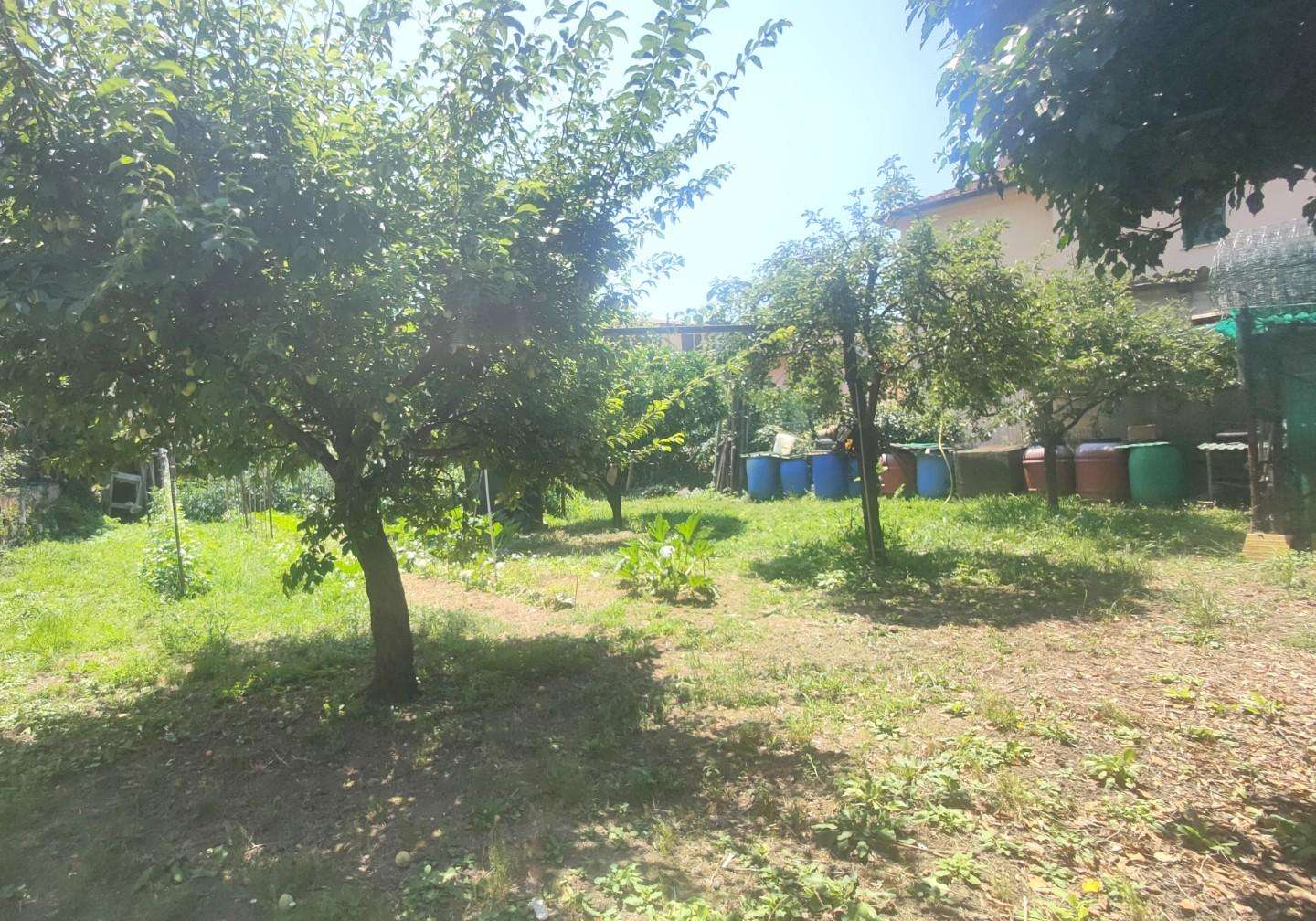  - foto 5