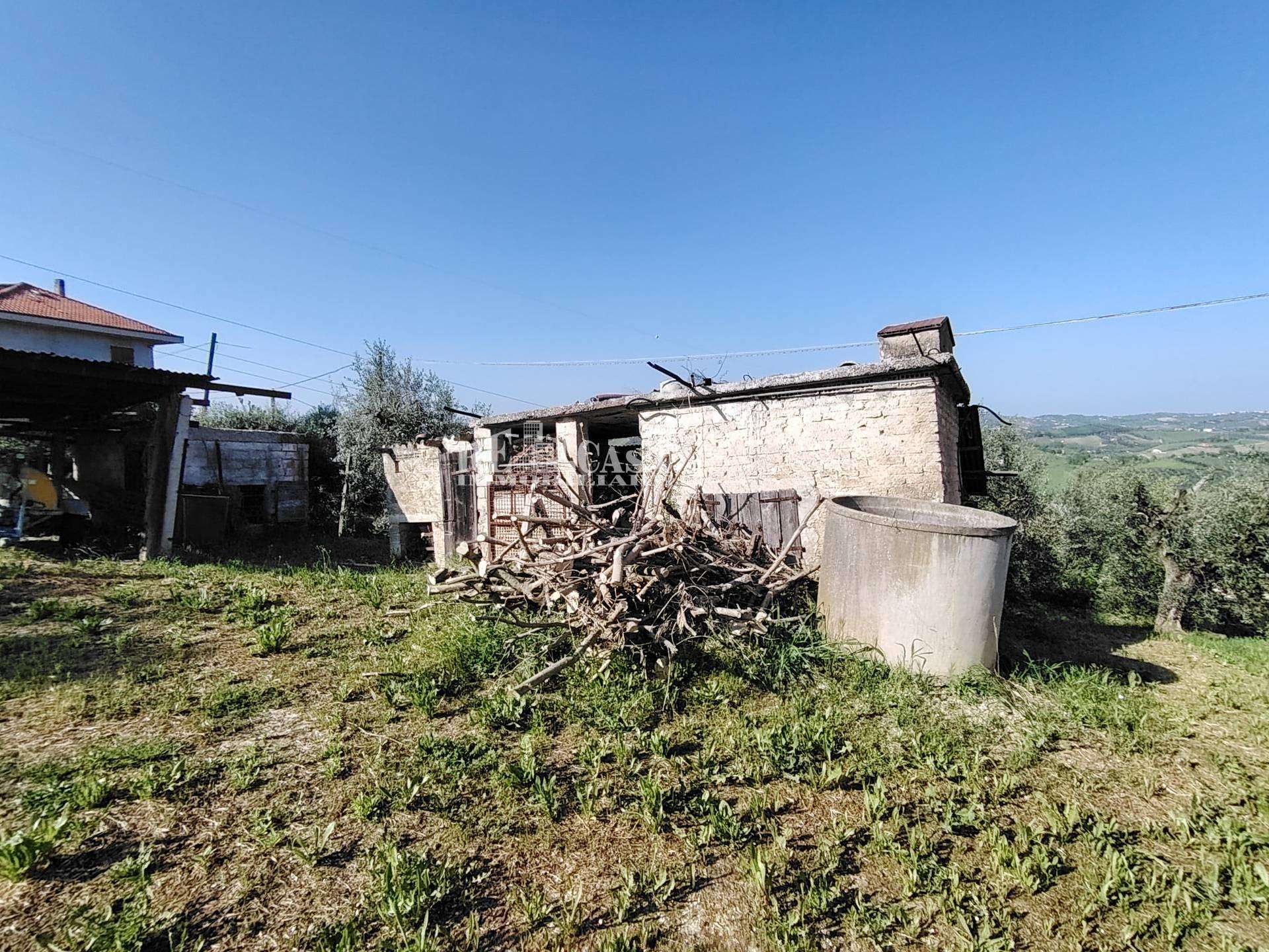 - foto 50