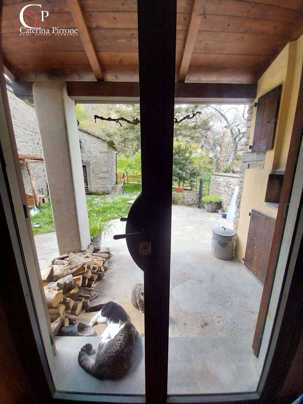  - foto 6