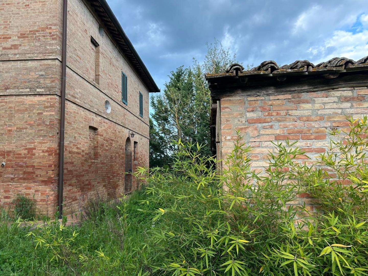  - foto 2
