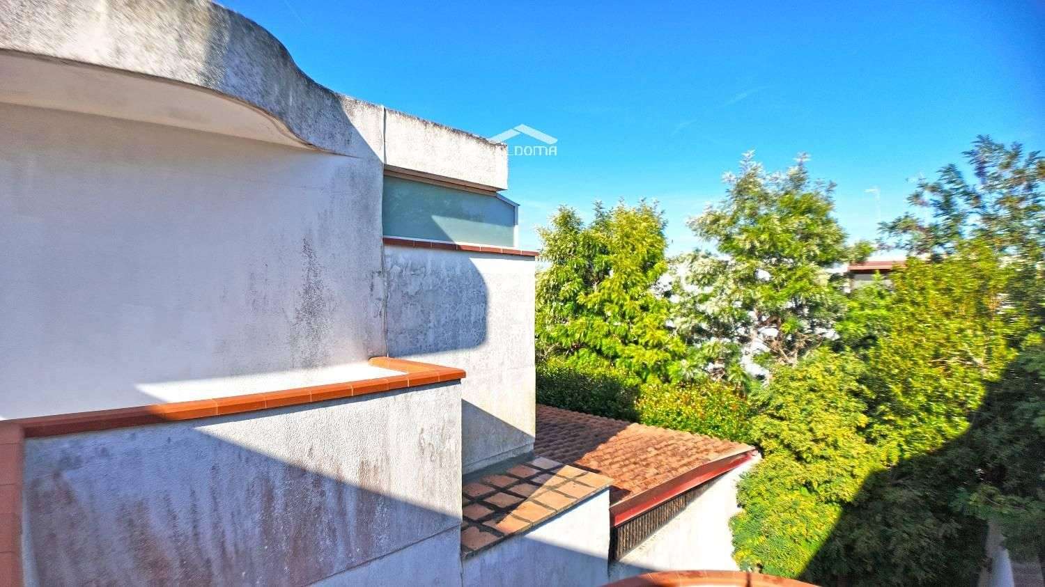  - foto 20