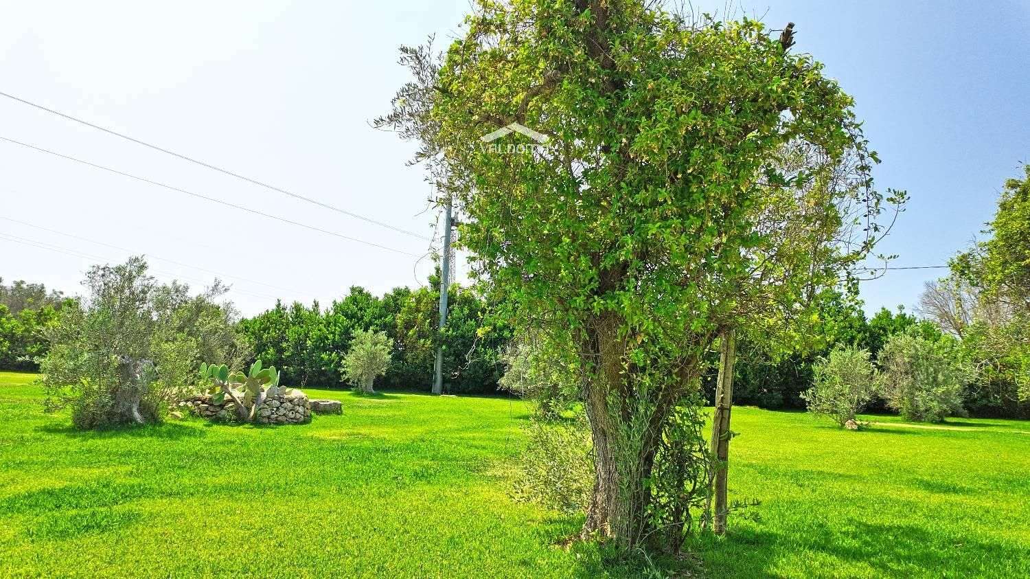  - foto 13