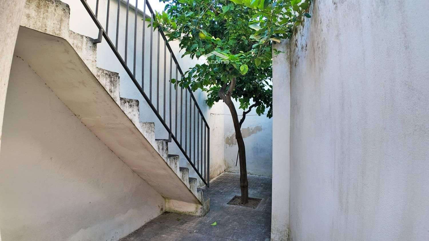  - foto 20